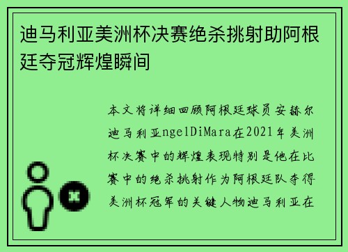 迪马利亚美洲杯决赛绝杀挑射助阿根廷夺冠辉煌瞬间
